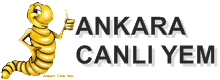 Ankara Canlı Yem