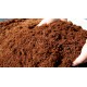 cocopeat